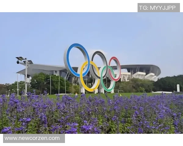 广州排球队耐力问题引发热议球迷与专家各执己见探讨背后原因 广州排球队耐力问题引发热议球迷与专家各执己见探讨背后原因