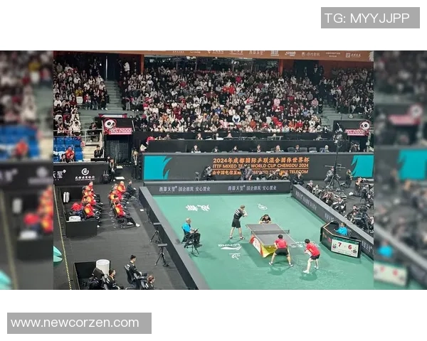 成都乒乓球队技术深度解析与训练方法探讨